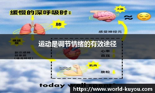 九州酷游官方网站
